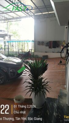 Trạm sạc ON Live ngày 04/02