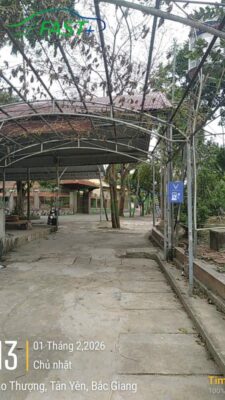 Trạm sạc ON Live ngày 04/02