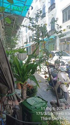 Trạm sạc ON Live ngày 11/06